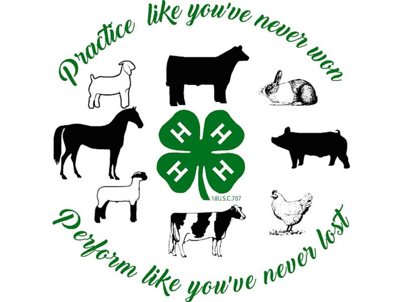 Logo for 2025 Avoyelles Parish Livestock Show