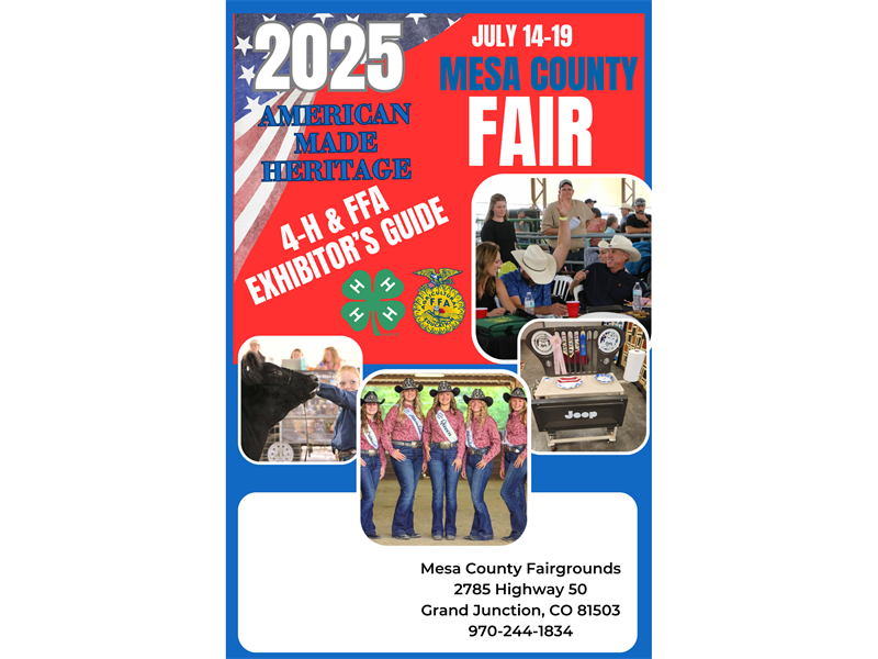 Fair Logo